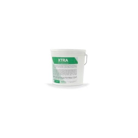 COLLANTE CVR XTRA' (A+B) KG.10