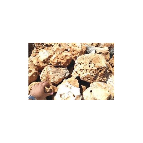 ROCCETTE PIETRE DI TRANI MISURA MEDIA