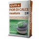 CVR FIOR DI CALCE RASATURA KG.25