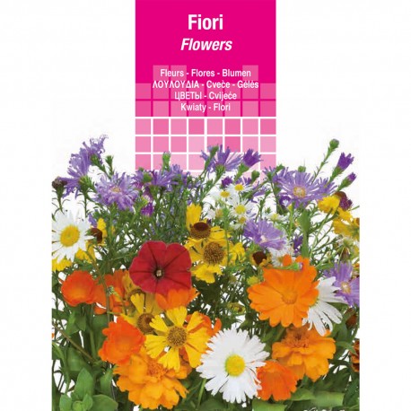 SEMI PER PRATO UNIVERSALE campanula semplice (PZ 20)