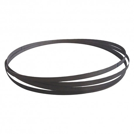 LAMA A NASTRO PER SEGATRICI METALLO mm 2140 x 19 x 0,9 - dentat. Z6/10 (PZ 1)