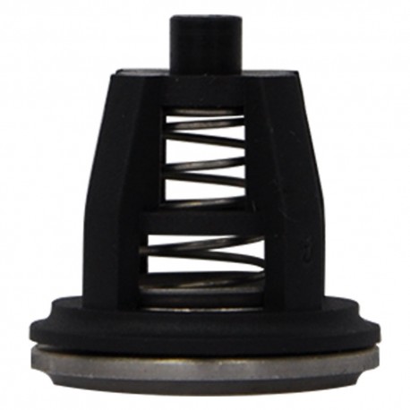 GRUPPO VALVOLA ASPIRAZIONE/MANDATA per modello CM46 - CM70 (PZ 1)