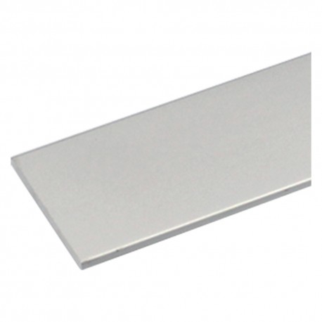 PROFILO PER FAI DA TE PIATTO mm 25 x 2 - mt 2 col.argento (PZ 10)