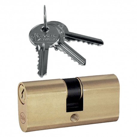 CILINDRO OVALE DA INFILARE mm 22+10+22  54 (27+27) (PZ 1)