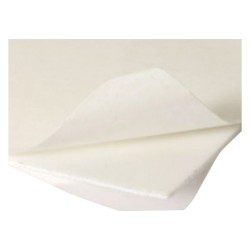 FELTRINO BIADESIVO mm 85 x 100 pz. 1 cf. 50 pz (CF 1)