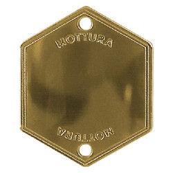 MOSTRINA COPRIFORO ART.95146 finitura argento (PZ 1)
