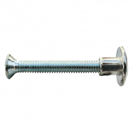 VITE PER SEDIA mm 25 x M 4 (PZ 250)