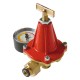 RIDUTTORE GPL ALTA PRESSIONE SERIE 'HP520' 'HP522R78' - capacita' 12-14 Kg/h - Att. F 1/4 (PZ 1)