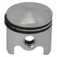 PISTONE CON FASCIA per decesp. Lif PG430/430W (PZ 1)