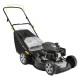 RASAERBA A SCOPPIO 'AL446 A' cc.123 - kw 1,9 (PZ 1)