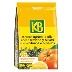 CONCIME GRANULARE 'AGRUMI/OLIVI' Gr. 800 (PZ 1)