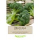 SEMI PER FAVE broccoletto cinquantino - gr 100 (PZ 20)