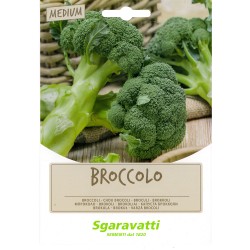 SEMI PER FAVE broccoletto cinquantino - gr 100 (PZ 20)