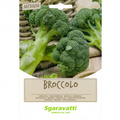 SEMI PER FAVE broccoletto cinquantino - gr 100 (PZ 20)