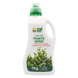 CONCIME LIQUIDO 'PIANTE VERDI' Kg.1 (PZ 1)