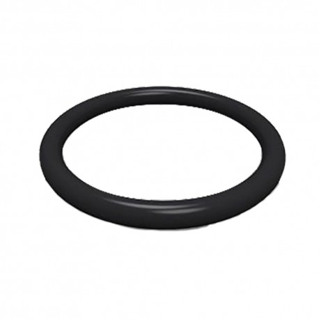 O-RING PER NIPLES M20 x 2 (PZ 1)