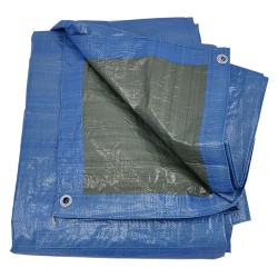 TELONE OCCHIELLATO mt 8 x 5 - 80 gr/mq. (PZ 1)