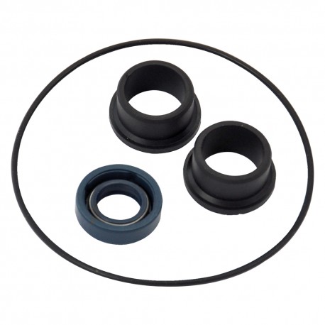 KIT GUARNIZIONI PER ELETTROPOMPA cf. 4 pz - per BE-M 20 (CF 1)