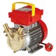 ELETTROPOMPA TRAVASO LIQUIDI Hp 0,5 BE-M20CE-Lt/h.1700 giri 2850 (PZ 1)