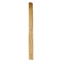 CANNA BAMBU' Ã˜ 24/26 mm. circa - h. mt 2,1 (PZ 50)