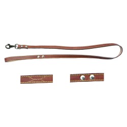 GUINZAGLIO PER CANE larg. mm 18 lung. cm 100 c/rivetti (PZ 1)