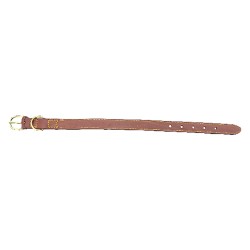 COLLARE PER CANE larg. mm 25 lung. cm 56 (PZ 1)