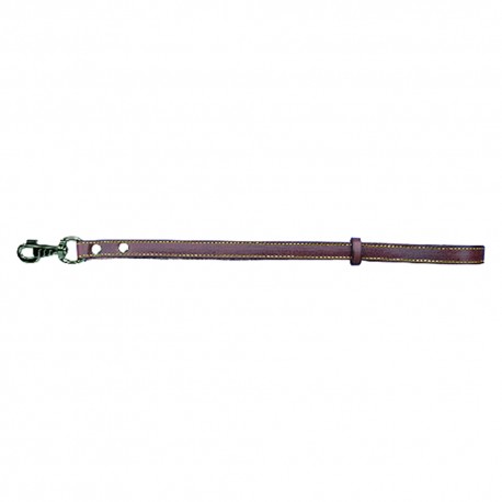 GUINZAGLIO PER CANE larg. mm 18 lung.cm 50 (PZ 1)