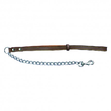GUINZAGLIO PER CANE larg. mm 18 lung.cm 85 (PZ 1)
