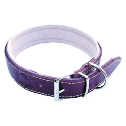 COLLARE PER CANE larg. mm 25 lung.cm 50 (PZ 1)