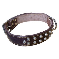 COLLARE PER CANE larg. mm 30 lung. cm 60 (PZ 1)