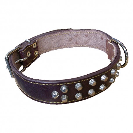 COLLARE PER CANE larg. mm 30 lung. cm 60 (PZ 1)