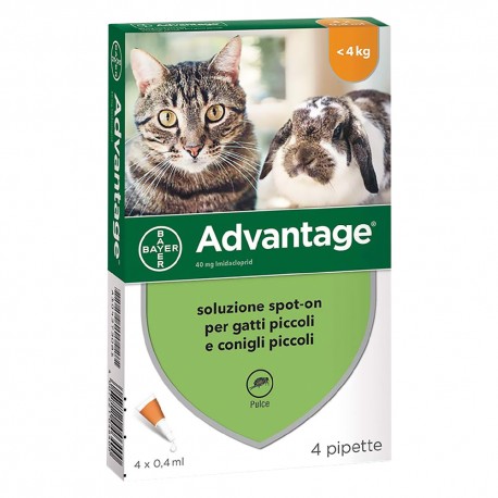 ANTIPARASSITARIO 'ADVANTAGE SPOT-ON'  4 kg - 4 pipette ml 0,4 (CF 1)