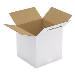 SCATOLA PER LATTE OLIO IN CARTONE per 4 latte da 5 lt - cm 30,5 x 25 x h.31 (PZ 15)