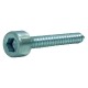 VITE AUTOFILETTANTE TCEI TCEI mm 4,8 x 32 (C% 5)