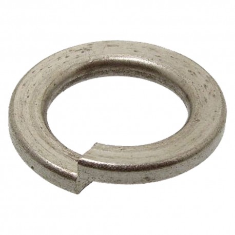 RONDELLA ELASTICA GROWER M 8 (C% 10)