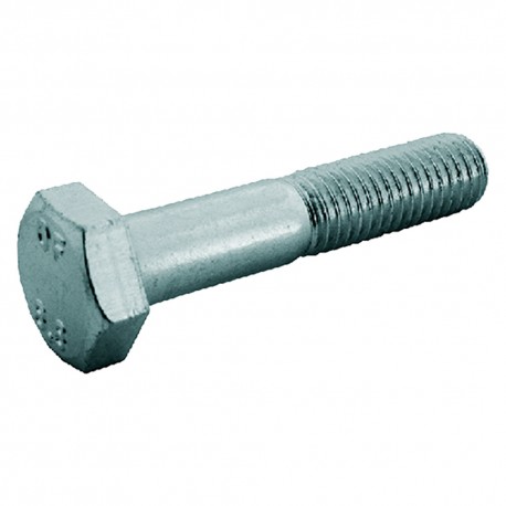 BULLONE TESTA ESAGONALE 8.8 T.E. 20 x 100 (C% 0,25)