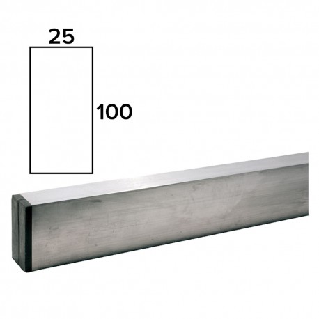STADIA PER MURATORE mm 100x25 mt 3 (PZ 1)