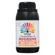 CONVERTITORE RUGGINE 'COLOREA' ml 250 (PZ 12)