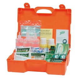 CASSETTA PRIMO SOCCORSO 'CPS154' cm 51x41x13 (PZ 1)