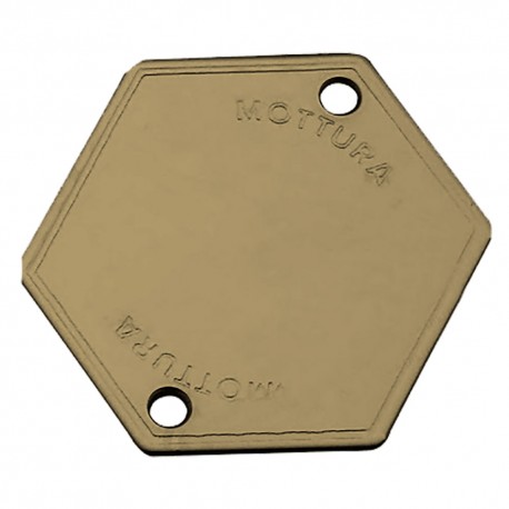 MOSTRINA COPRIFORO ART.95146 finitura ottonata (PZ 1)