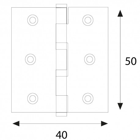 CERNIERA ACCIAIO ZINCATO ART.840 mm 50 x 40 - 2 (PZ 24)