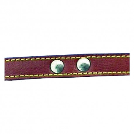 GUINZAGLIO PER CANE larg. mm 18 lung. cm 100 c/rivetti (PZ 1)