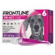 ANTIPARASSITARIO 'FRONTLINE TRI-ACT' cani 20/40 kg - 6 pipette ml 4 (CF 1)