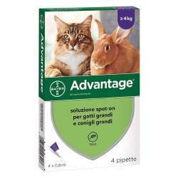 ANTIPARASSITARIO 'ADVANTAGE SPOT-ON'  4 kg - 4 pipette ml 0,8 (CF 1)