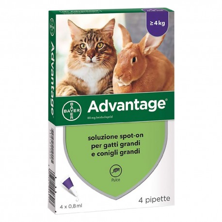 ANTIPARASSITARIO 'ADVANTAGE SPOT-ON'  4 kg - 4 pipette ml 0,8 (CF 1)