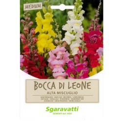 SEMI PER PRATO UNIVERSALE bocca di leone (PZ 20)