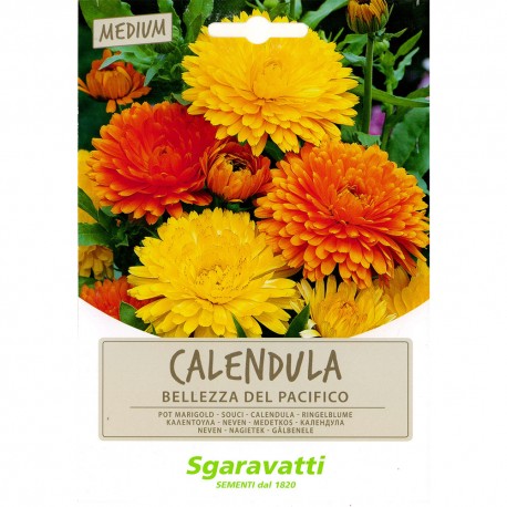 SEMI PER PRATO UNIVERSALE calendula bellezza del pacifico (PZ 10)