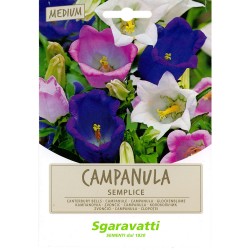 SEMI PER PRATO UNIVERSALE campanula semplice (PZ 20)