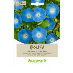 SEMI PER PRATO UNIVERSALE ipomea grandiflora blu (PZ 10)
