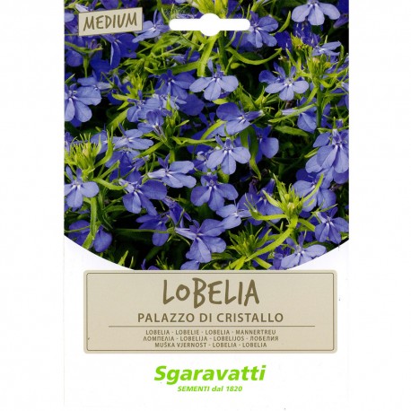 SEMI PER PRATO UNIVERSALE lobelia palazzo di cristallo (PZ 20)